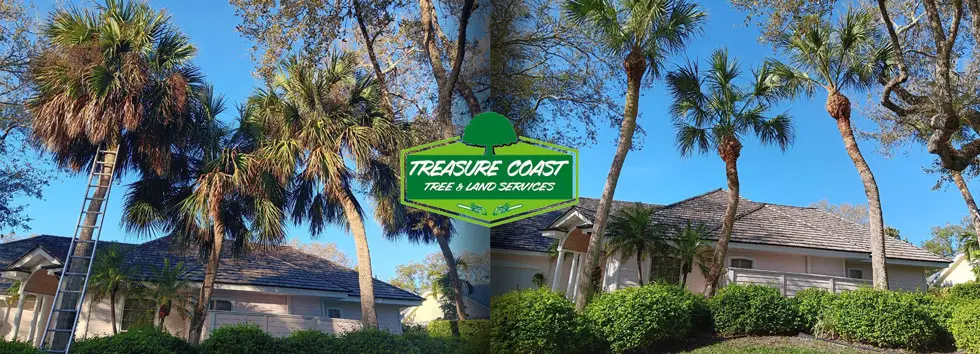 Treasure Coast Tree & Land Services