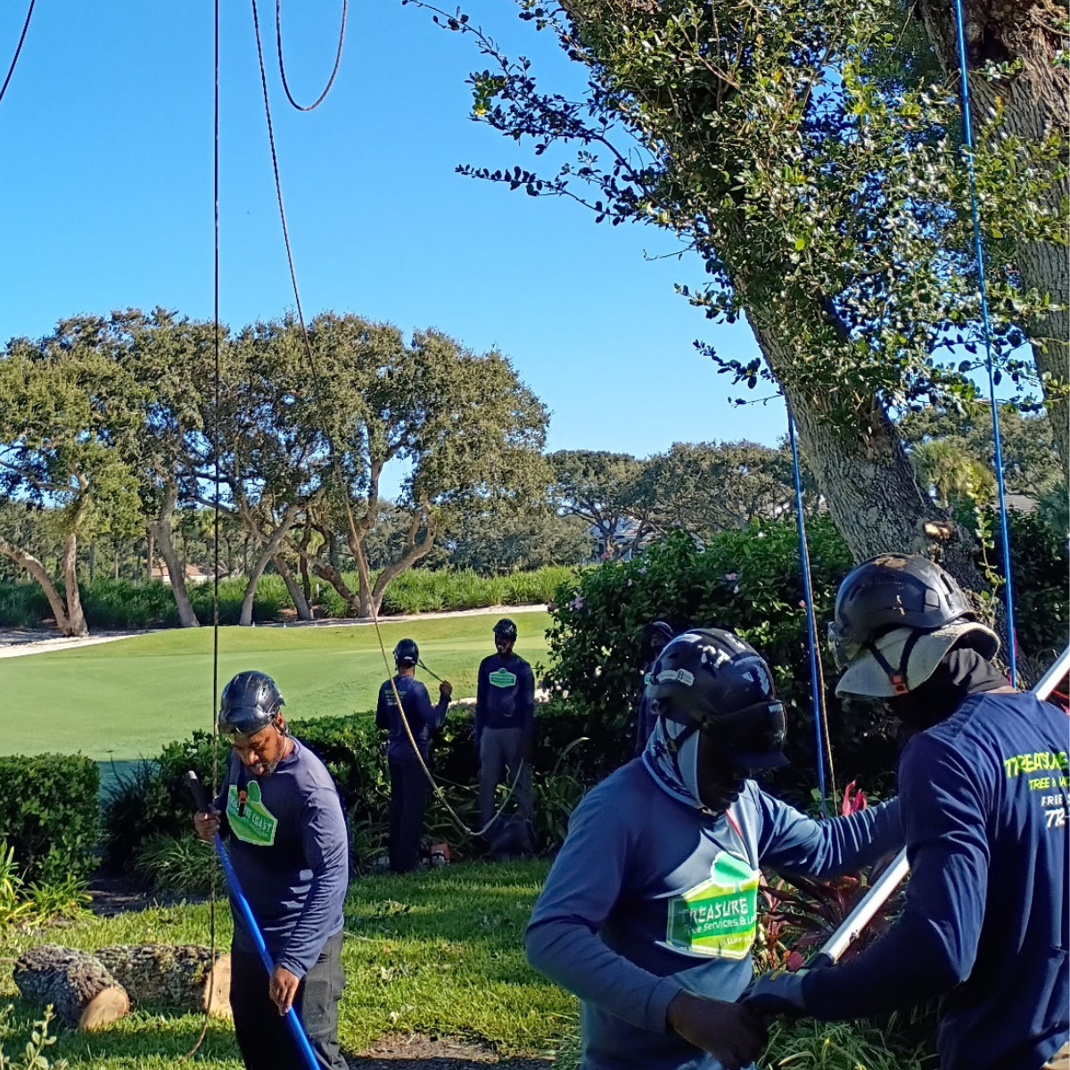Treasure Coast Tree Service crew working in Orchid Island, FL