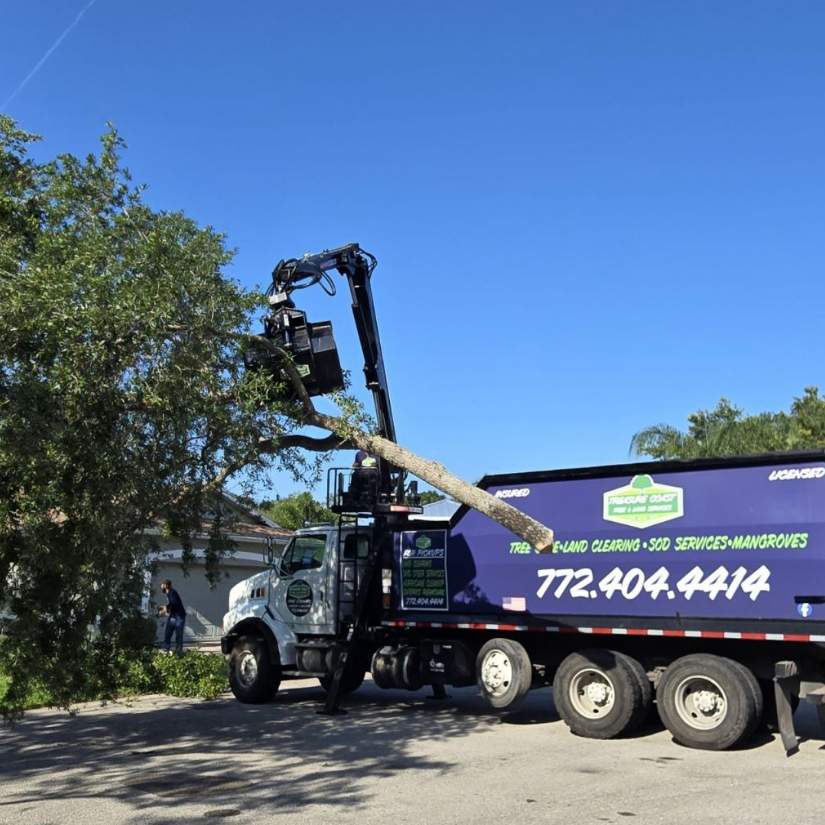 Treasure Coast Tree & Land Services crew performing safe tree removal on a residential property in Roseland, Indian River County, FL.