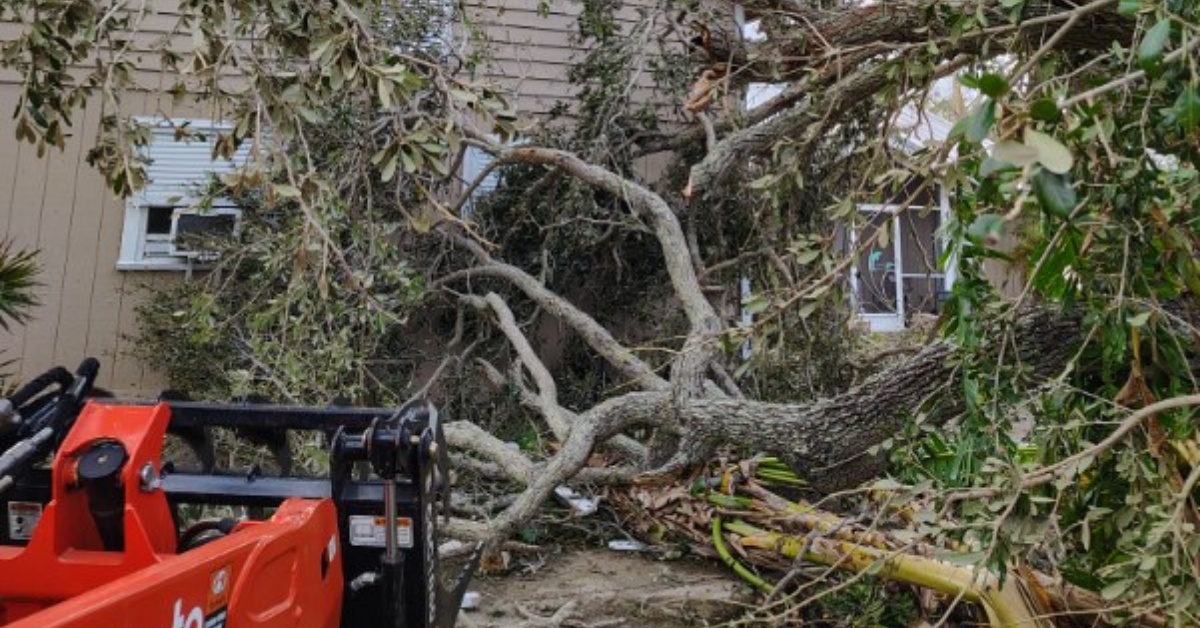 24/7 Emergency Tree Service in Vero Beach, FL