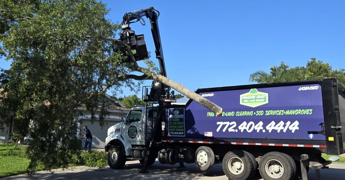 Tree Removal in Vero Beach